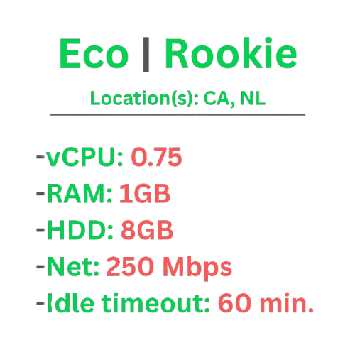BeamMP | Rookie