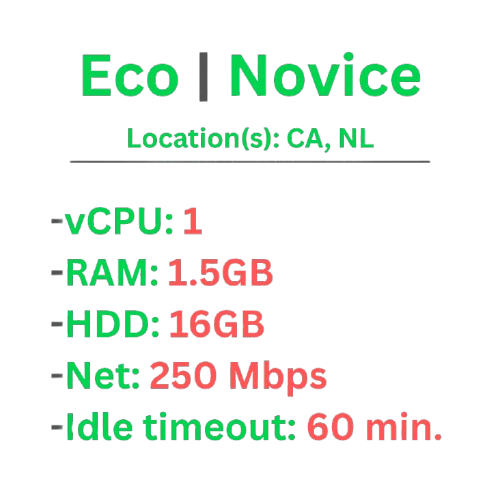 BeamMP | Novice